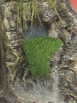 Отель Mimino T&G Тбилиси Семейный номер с видом на сад-32