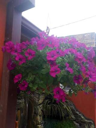 Отель Mimino T&G Тбилиси Семейный номер с видом на сад-52