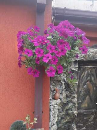 Отель Mimino T&G Тбилиси Семейный номер с видом на сад-56